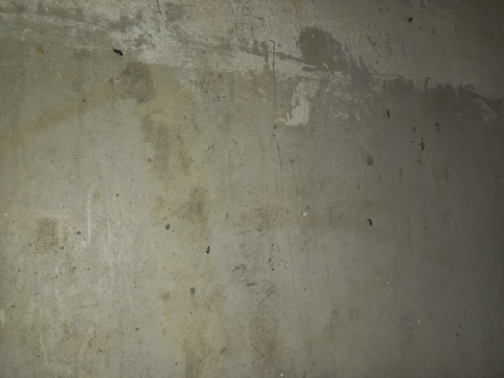 Уничтожение тараканов в Балабаново эффективным средством с обработкой квартиры после травли недорого