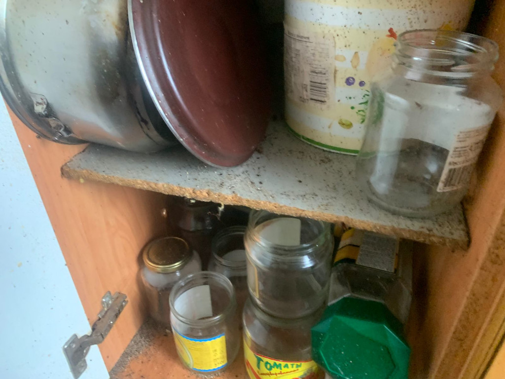 обработка от тараканов в квартире цена москва