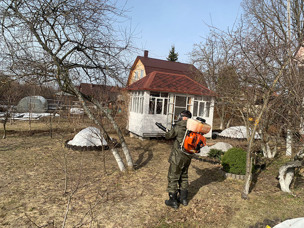 Обработка плодовых и хвойных деревьев в Тобольске