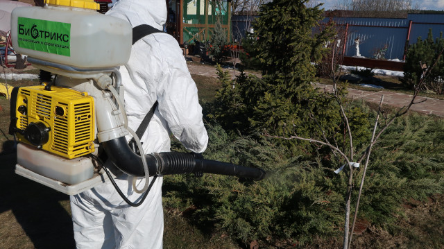 Какие есть самые эффективные средства борьбы с насекомыми-вредитеями хвойных деревьев в Одинцово Московской области?