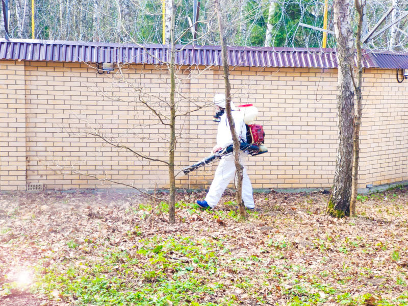 Весенняя обработка деревьев в г. Железнодорожный с опрыскиванием от болезней и насекомых весной