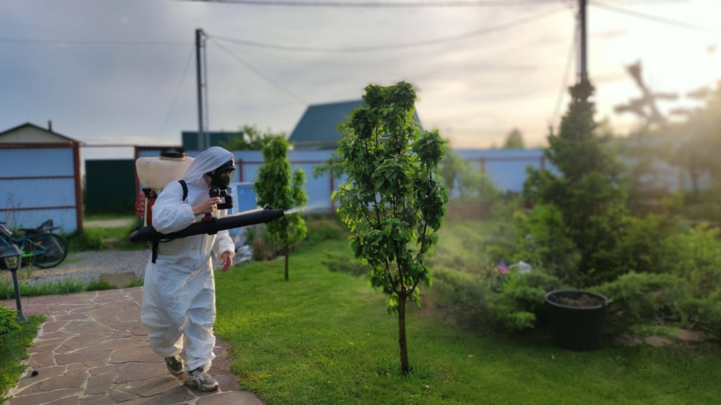 Вам нужна срочная и профессиональная обработка хвойных и плодовых деревьев от болезней и насекомых в Мытищах  - закажите услугу опрыскивания эффективными средствами у экспертов компании Биотрикс в Московской области.
