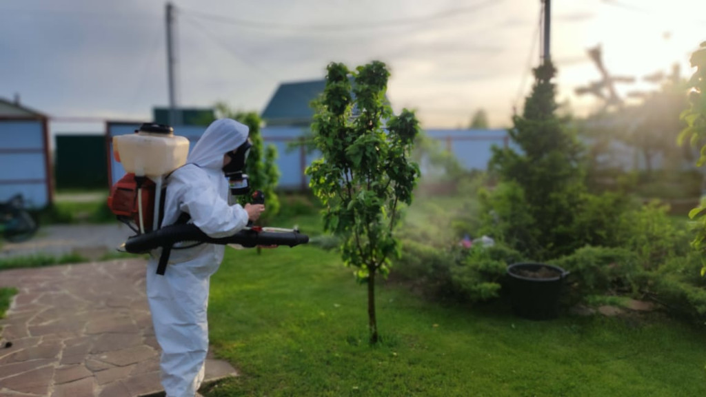 Весенняя обработка  плодовых и хвойных деревьев в г. Павловская Слобода  - опрыскивание от насекомых и болезней весной