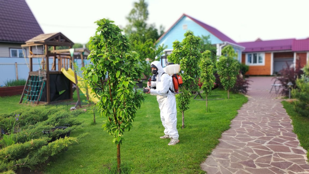 Эффективная обработка деревьев и кустов на садовом участке от болезней и насекомых в г. Королёв весной от дезинсекторов СЭС Биотрикс