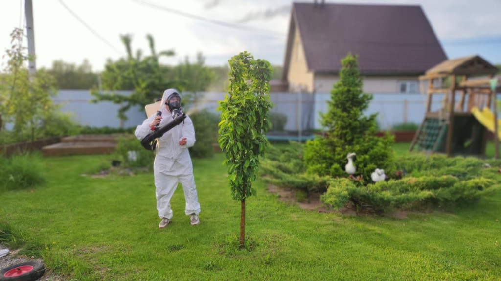 Весенняя обработка деревьев в г. Серебряные пруды с опрыскиванием от болезней и насекомых весной