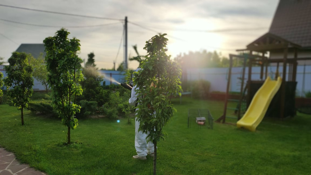 Весенняя обработка плодовых и хвойных деревьев в Переяслав-Залесском от насекомых и болезней