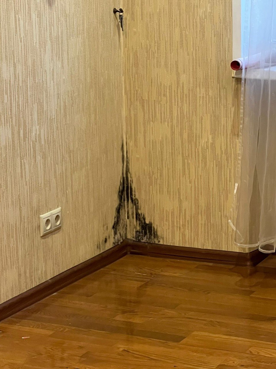Уничтожение плесени