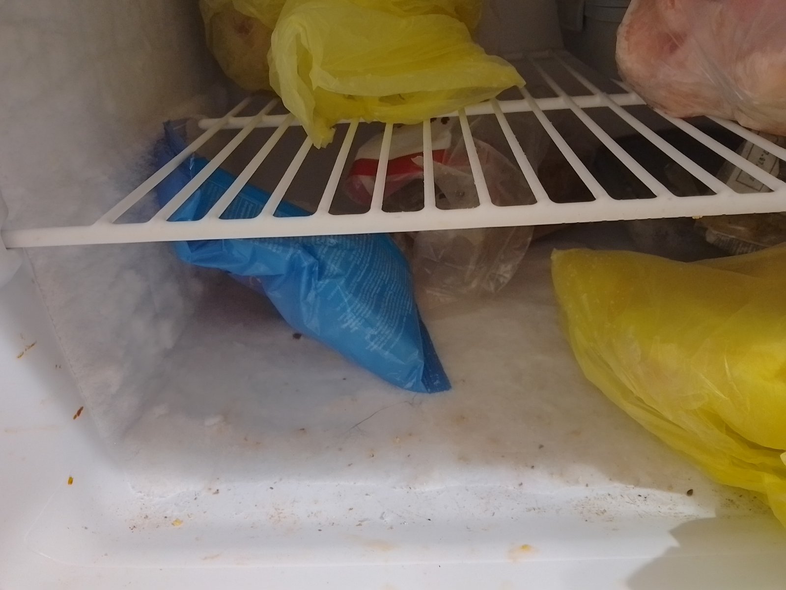 Профессиональное устранение запаха после протухшего мяса