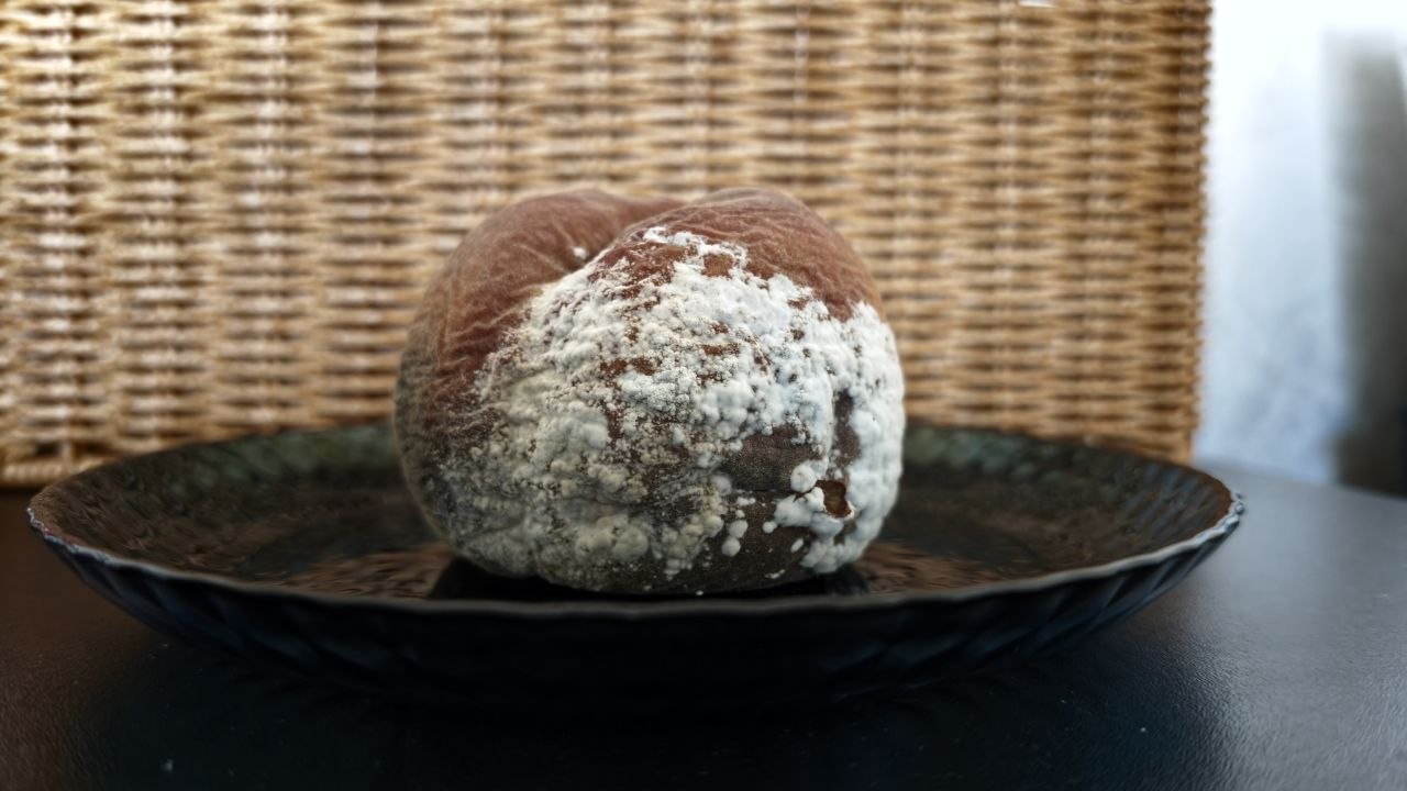 Как избавиться от запаха тухлятины после забытых продуктов в холодильнике